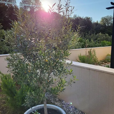 Dalmatino بيتريتْشاني