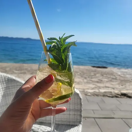 Dalmatino Petrcane